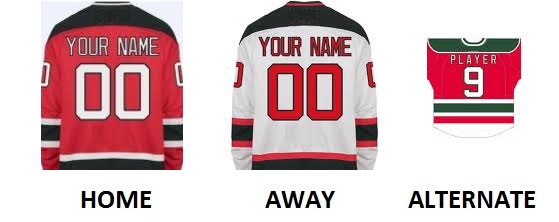 (image for) NEW JERSEY Pro Hockey Number Kit - Click Image to Close